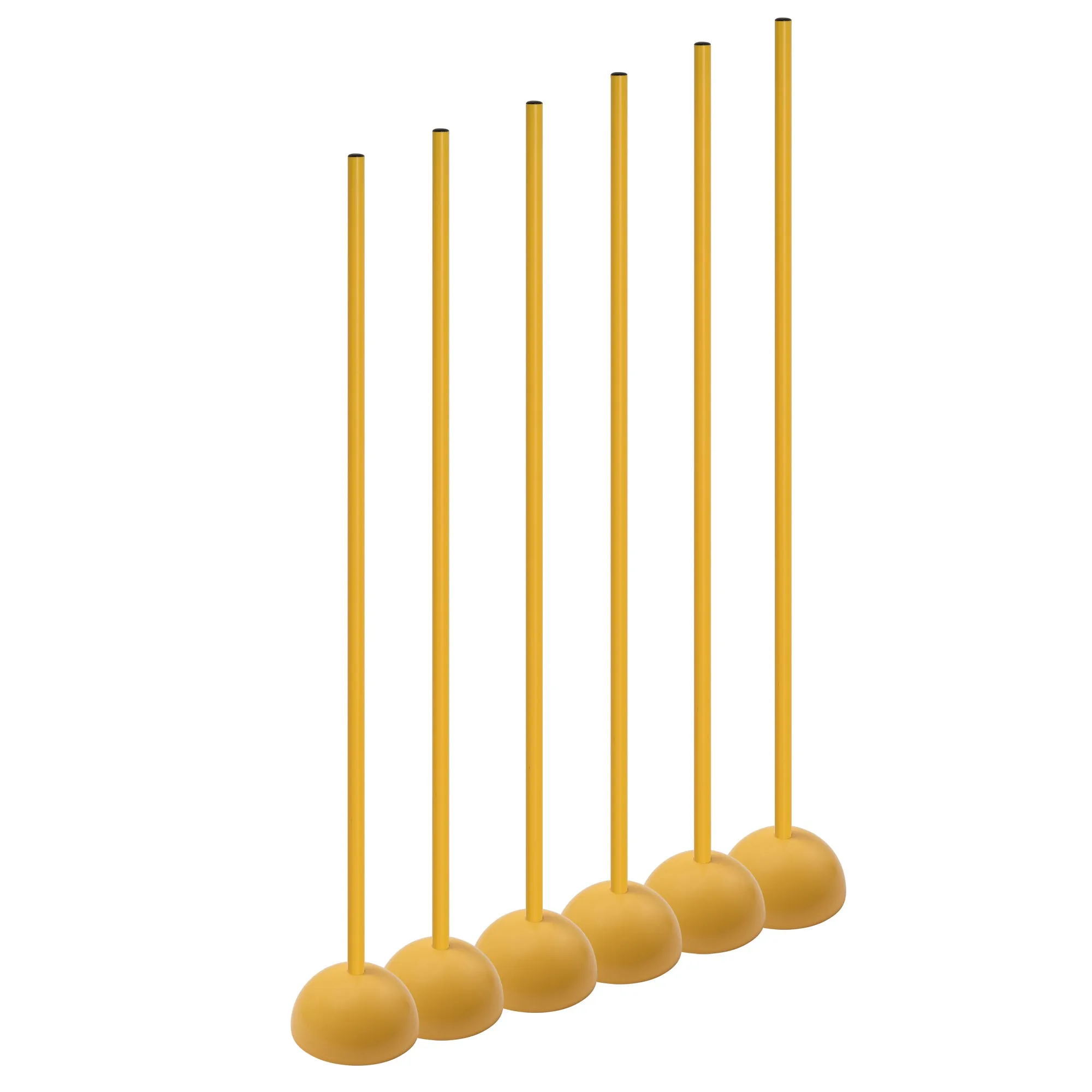 Champion Sports Coaching Sticks With Base