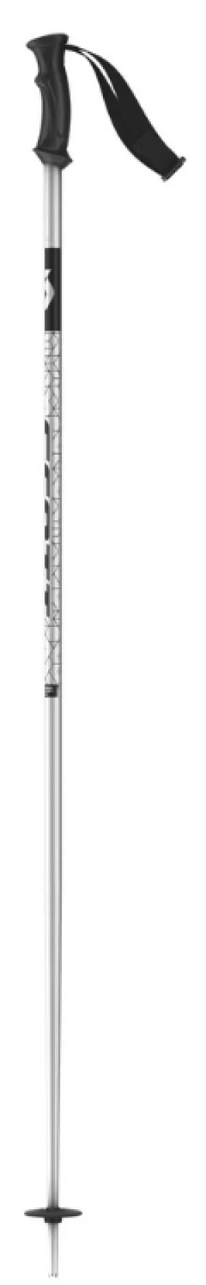 Scott Element Ski Pole 2023