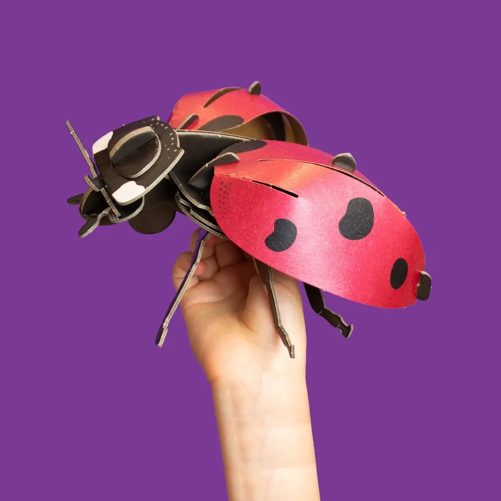 STEM Build - Ladybird with Moving Mechanisms